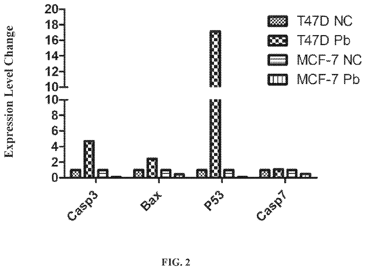 Use of mutant p53 gene targeted lead borate nanoparticles in cancer treatment and production method of these nanoparticles