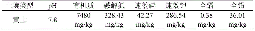 Reinforced plant restoration method for lead-cadmium composite contaminated soil