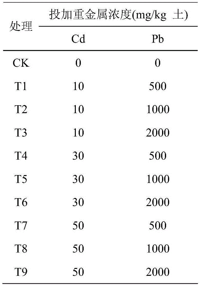 Reinforced plant restoration method for lead-cadmium composite contaminated soil