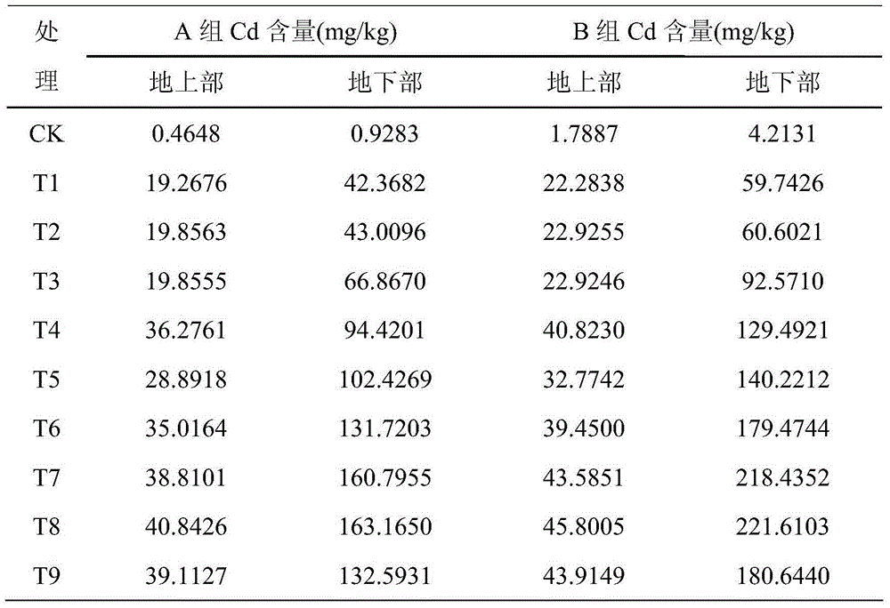 Reinforced plant restoration method for lead-cadmium composite contaminated soil