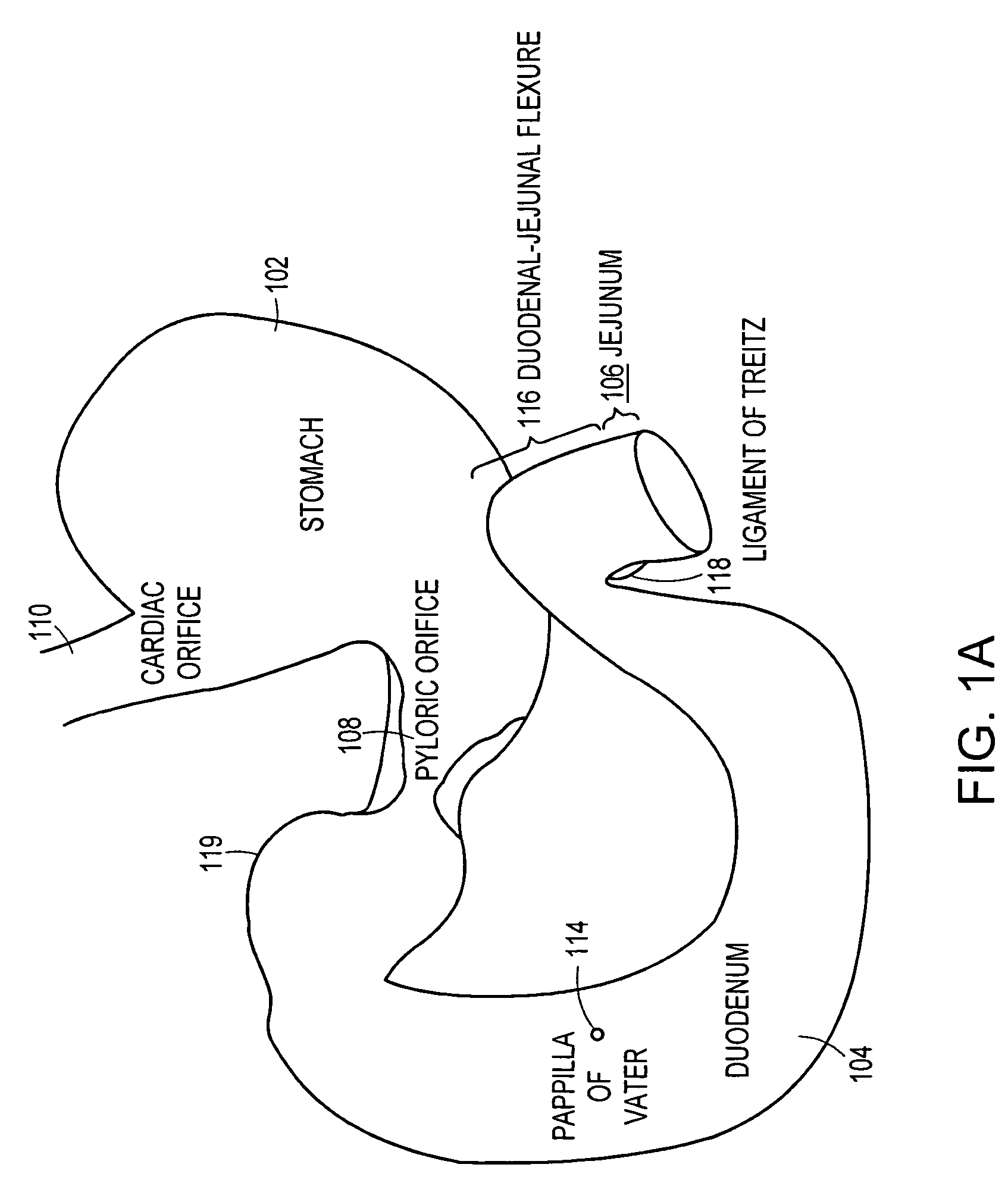 Methods and devices for placing a gastrointestinal sleeve