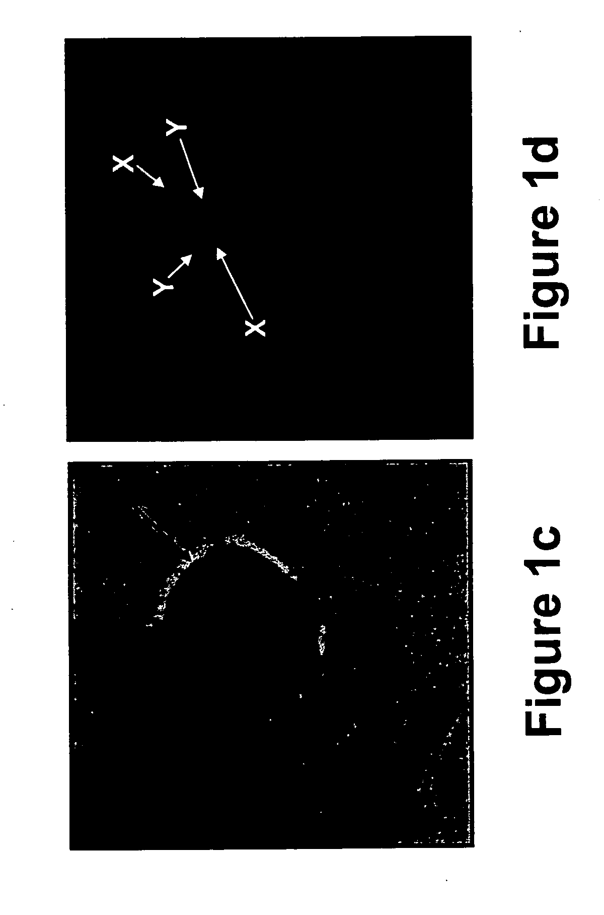 Non-invasive prenatal genetic diagnosis using transcervical cells