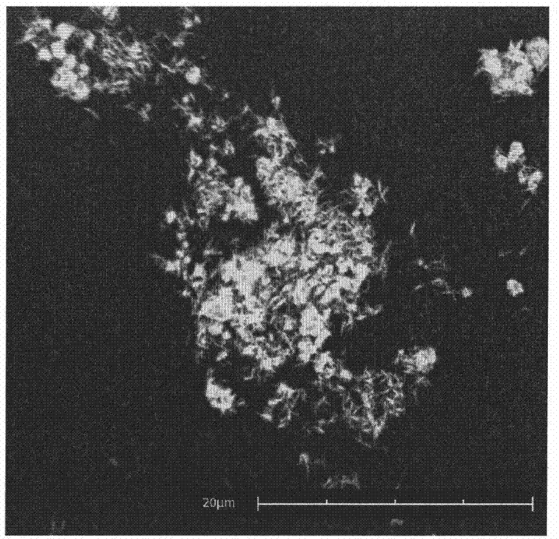 Method for synthesizing OMS-2 manganese oxide octahedral molecular sieve