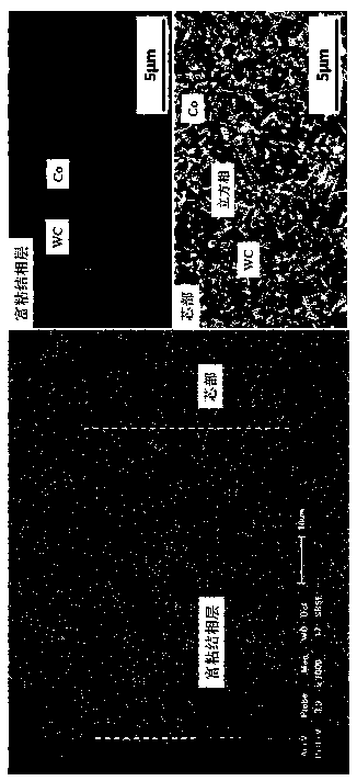 Ultra-fine gradient hard alloy with WC grains in surface rich binding-phase layer arrayed in regular shape and preparation method of ultra-fine gradient hard alloy