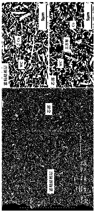 Ultra-fine gradient hard alloy with WC grains in surface rich binding-phase layer arrayed in regular shape and preparation method of ultra-fine gradient hard alloy