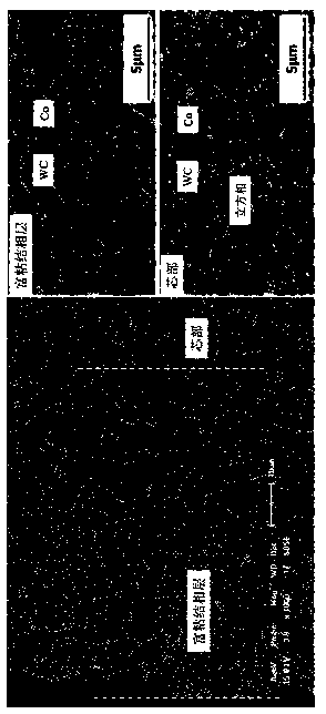 Ultra-fine gradient hard alloy with WC grains in surface rich binding-phase layer arrayed in regular shape and preparation method of ultra-fine gradient hard alloy