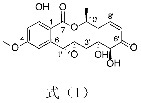 Applications of macrolide compound in preventing plant downy mildew