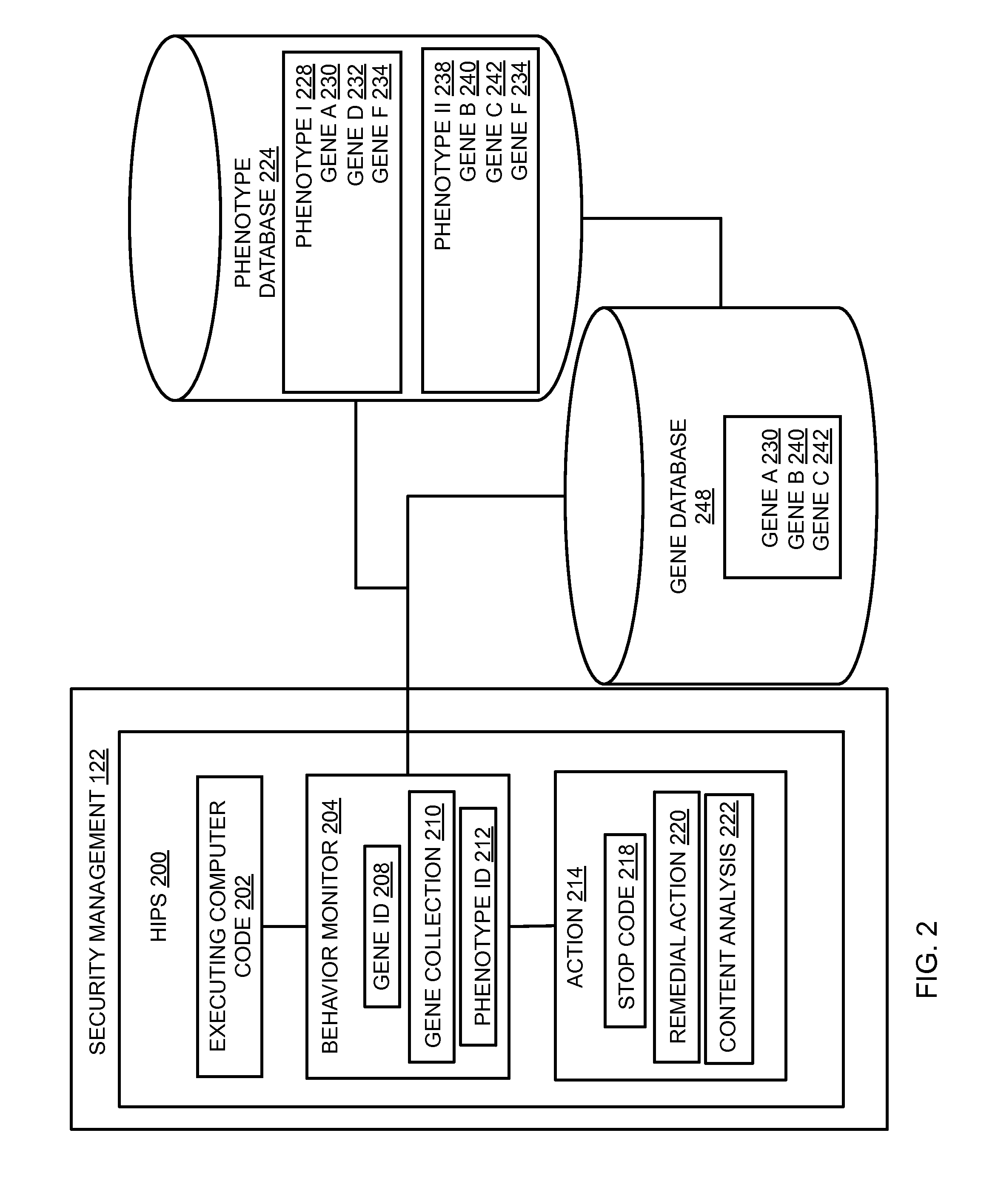 Host intrusion prevention system using software and user behavior analysis