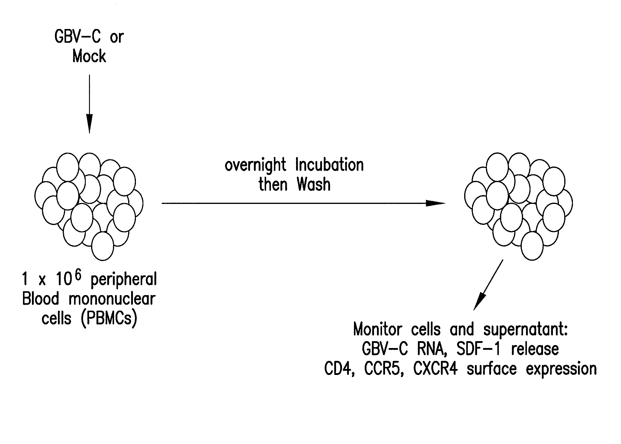 Flavivirus NS5A Proteins For the Treatment of HIV