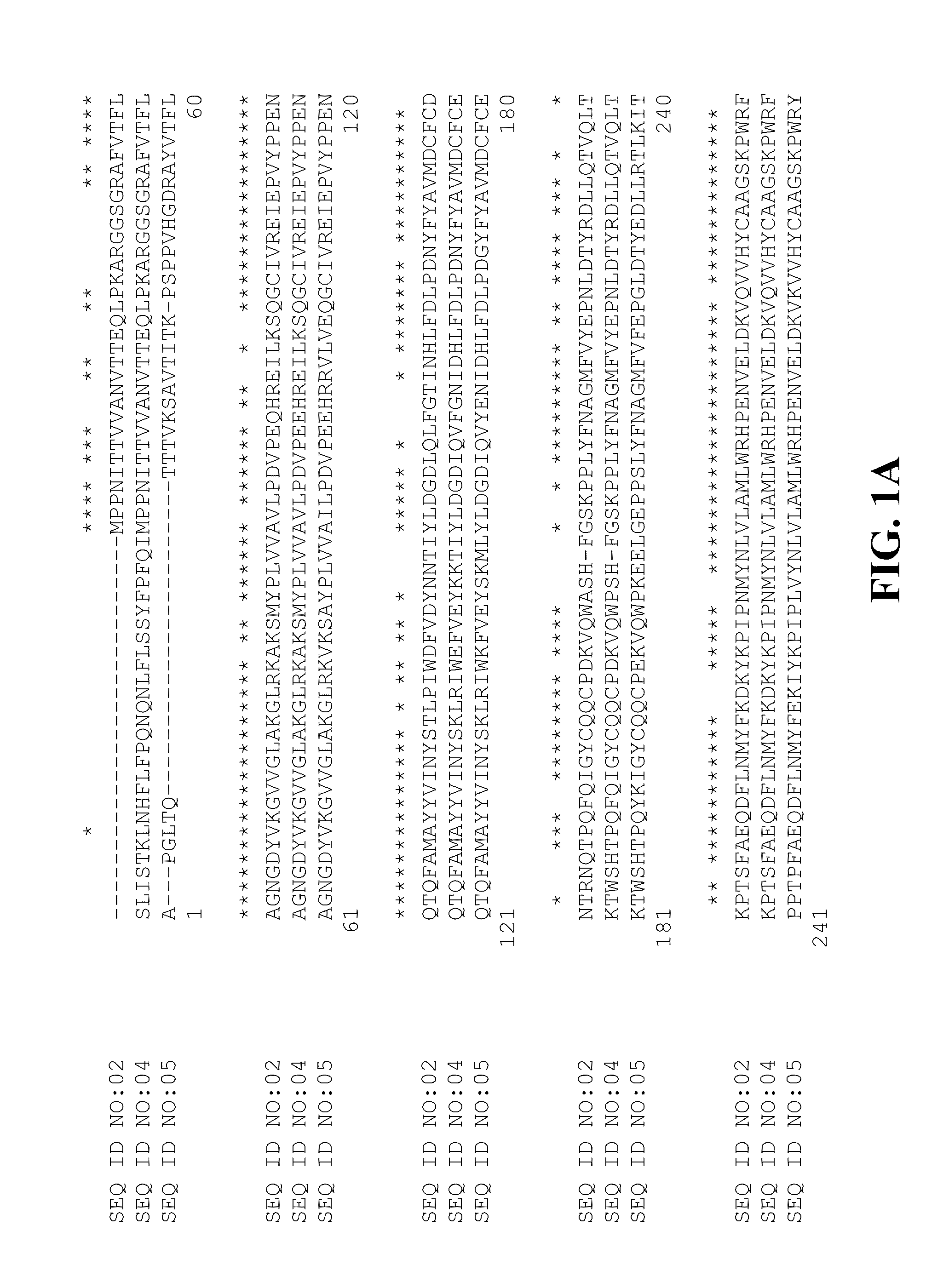 Plant raffinose saccharide biosynthetic enzymes