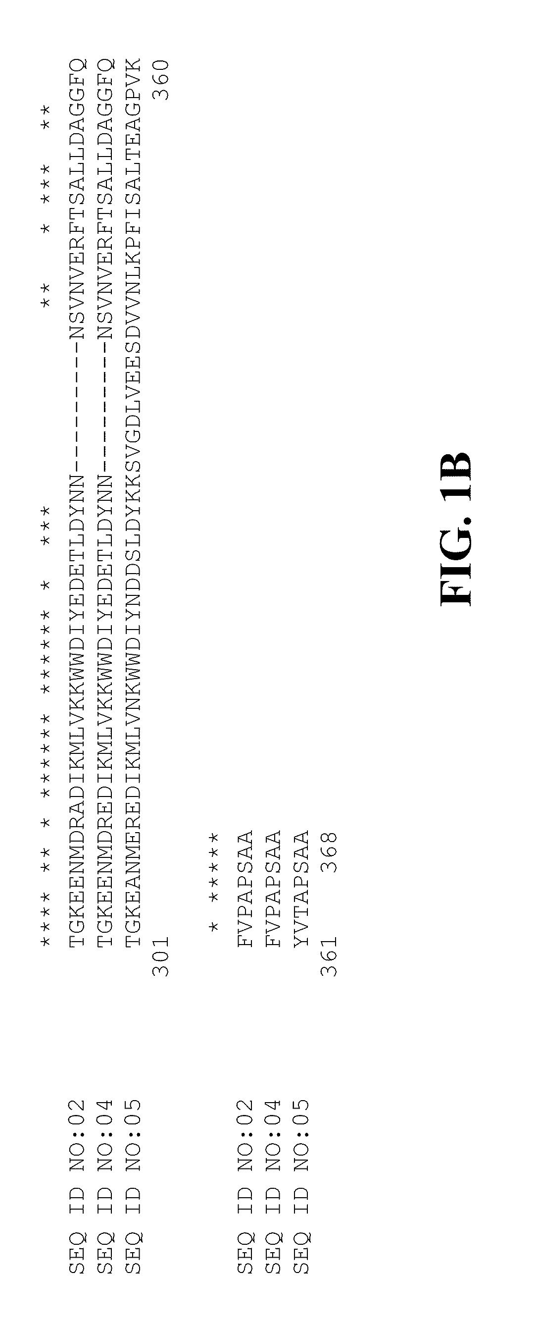 Plant raffinose saccharide biosynthetic enzymes