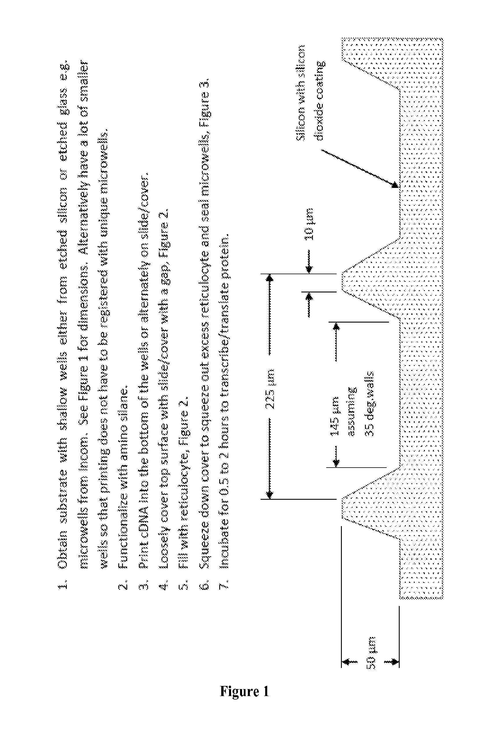 Programmable Arrays