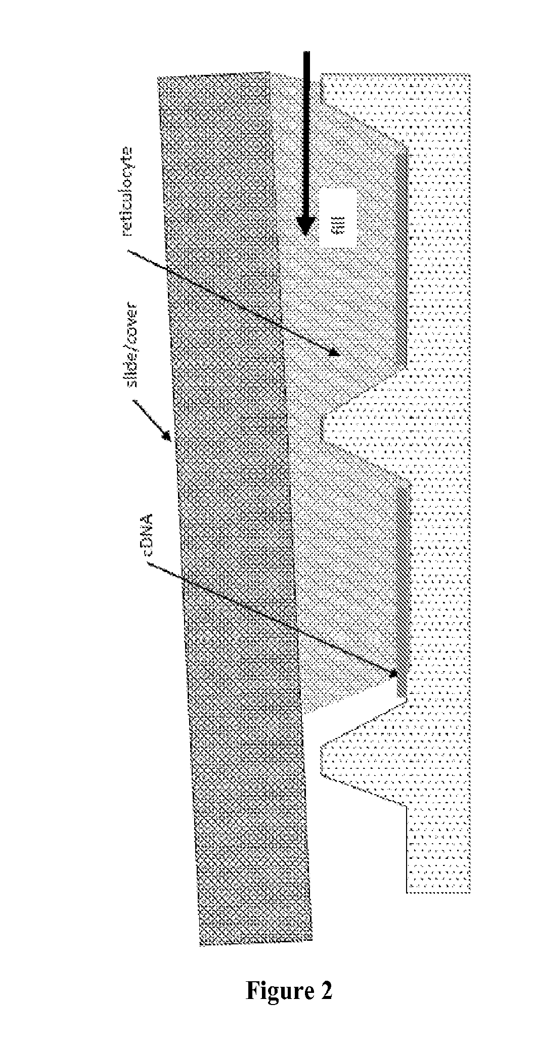 Programmable Arrays