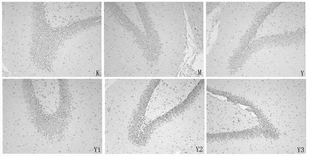 Application of pachysamine/pachysandrine G