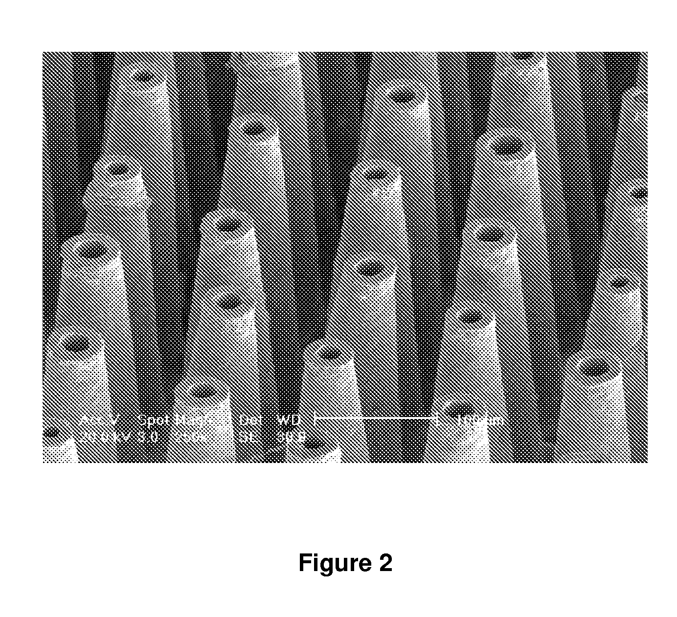 Fabrication method for hollow microneedles for drug delivery