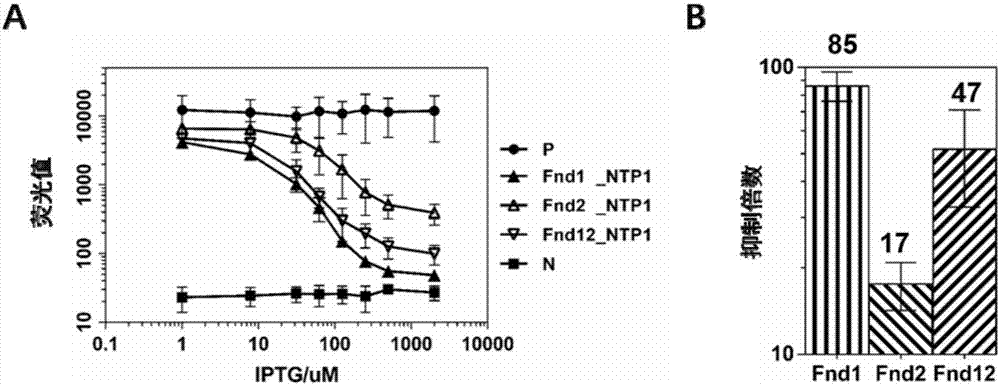 Programmable multi-site specificity transcription inhibition system and application thereof