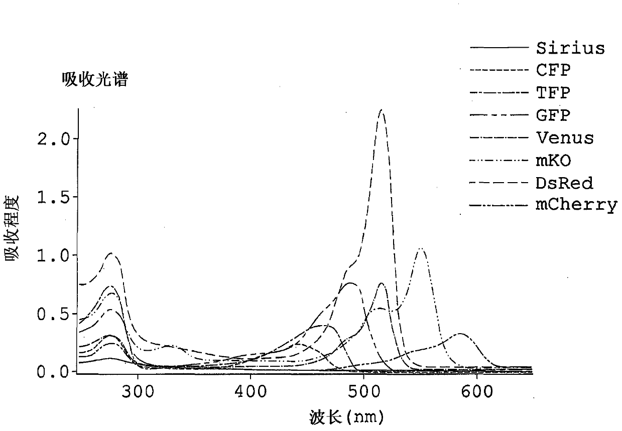 Fluorescece obsevation method and fluorescence obsevation apparatus