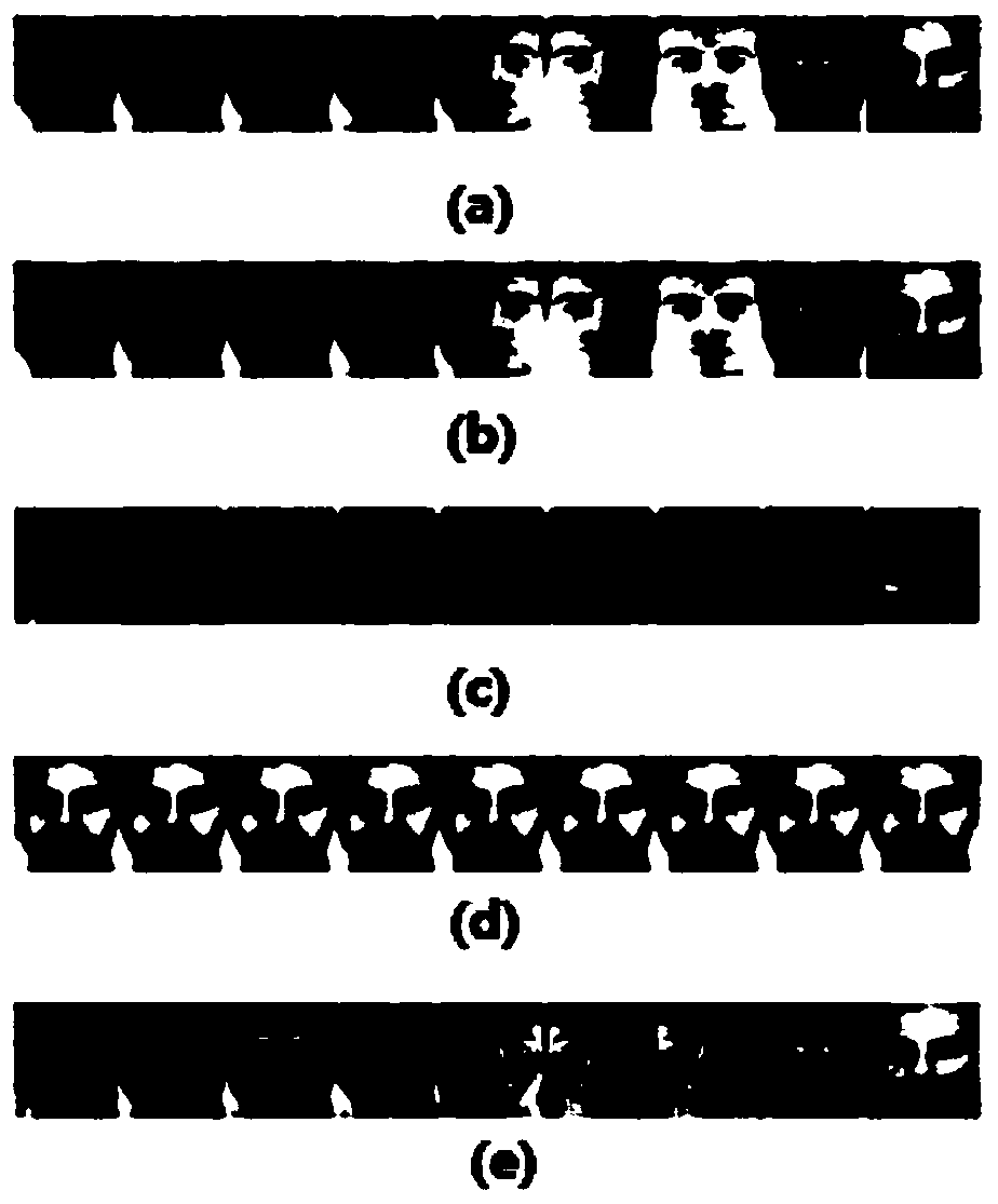 Human face identification method based on fisher low-rank matrix restoration