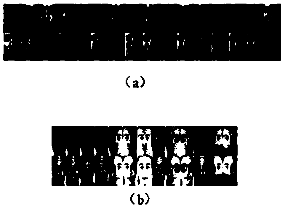 Human face identification method based on fisher low-rank matrix restoration