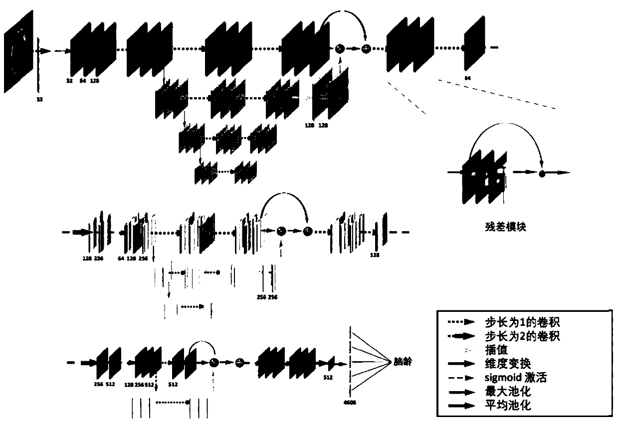 Fetal brain age estimation and anomaly detection method and device based on deep learning