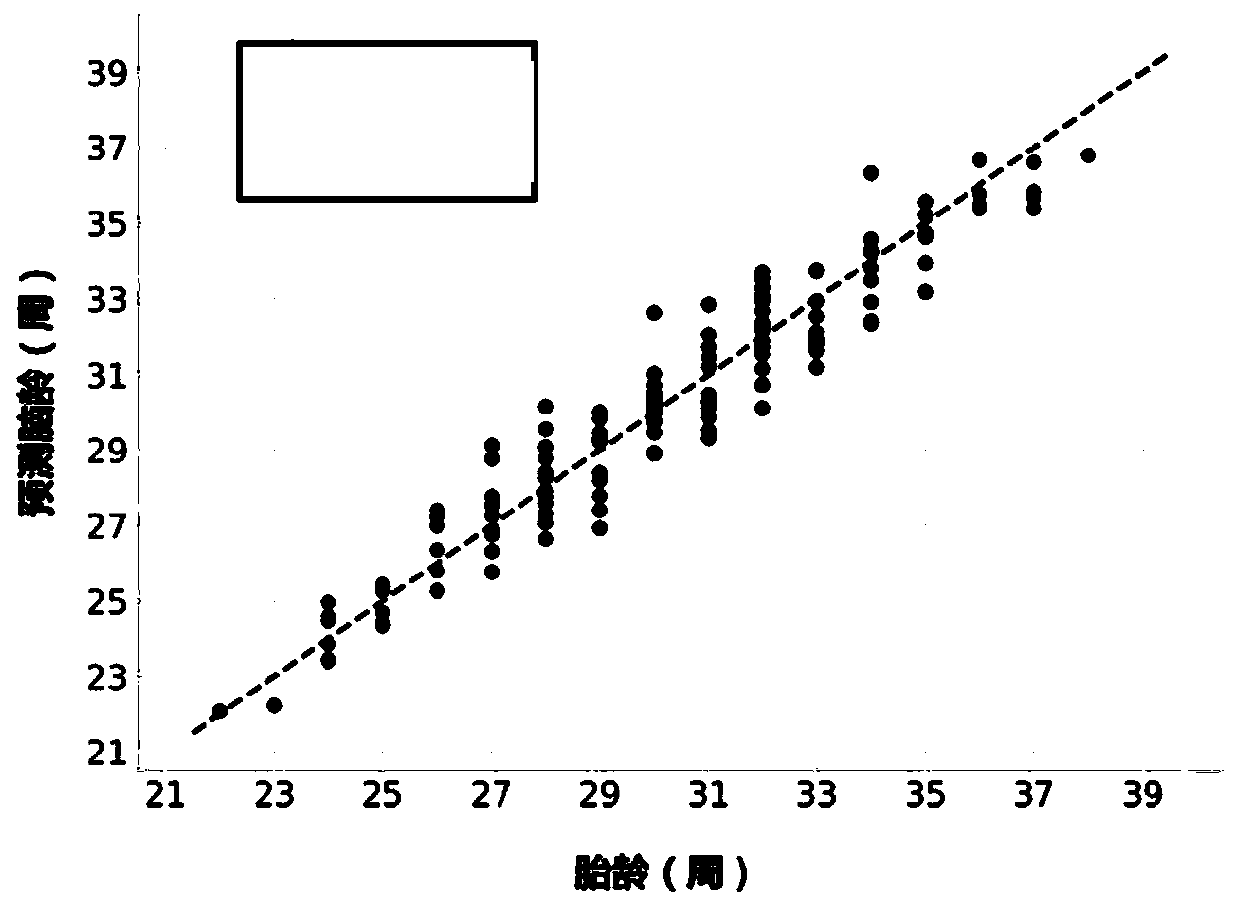 Fetal brain age estimation and anomaly detection method and device based on deep learning