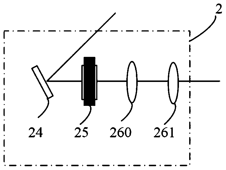 High-resolution light sheet microscopic imaging system for observing free-moving zebra fish