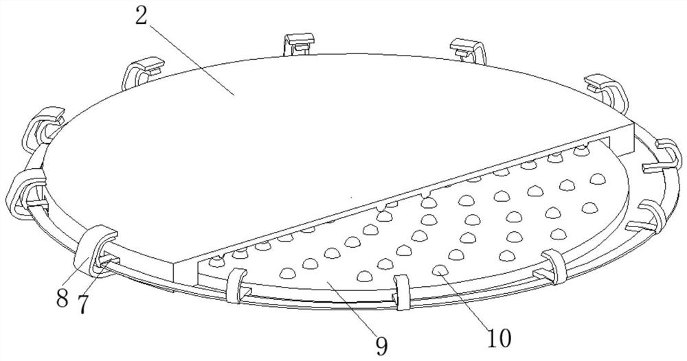 Rice airing device