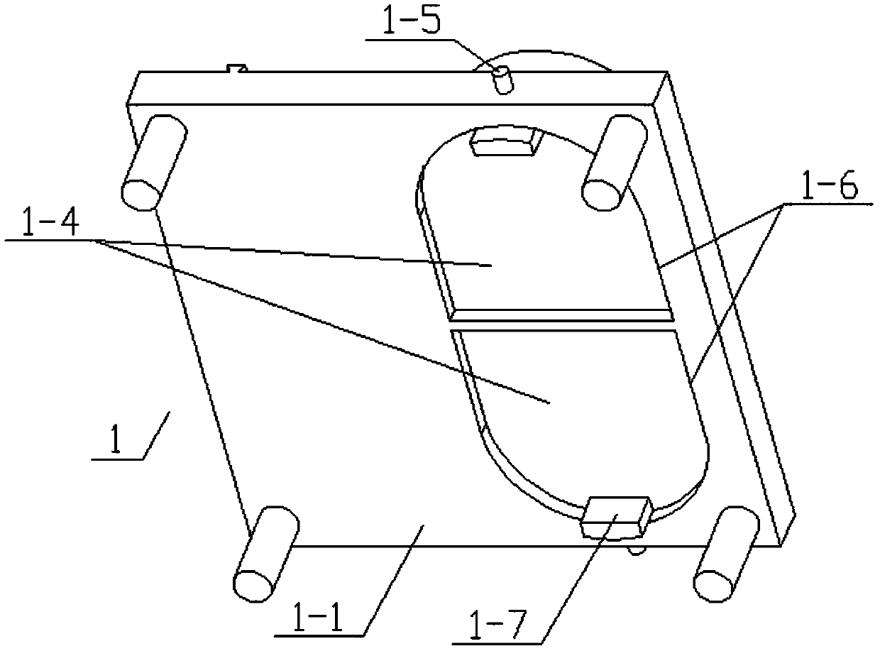 Device for manufacturing bird specimens