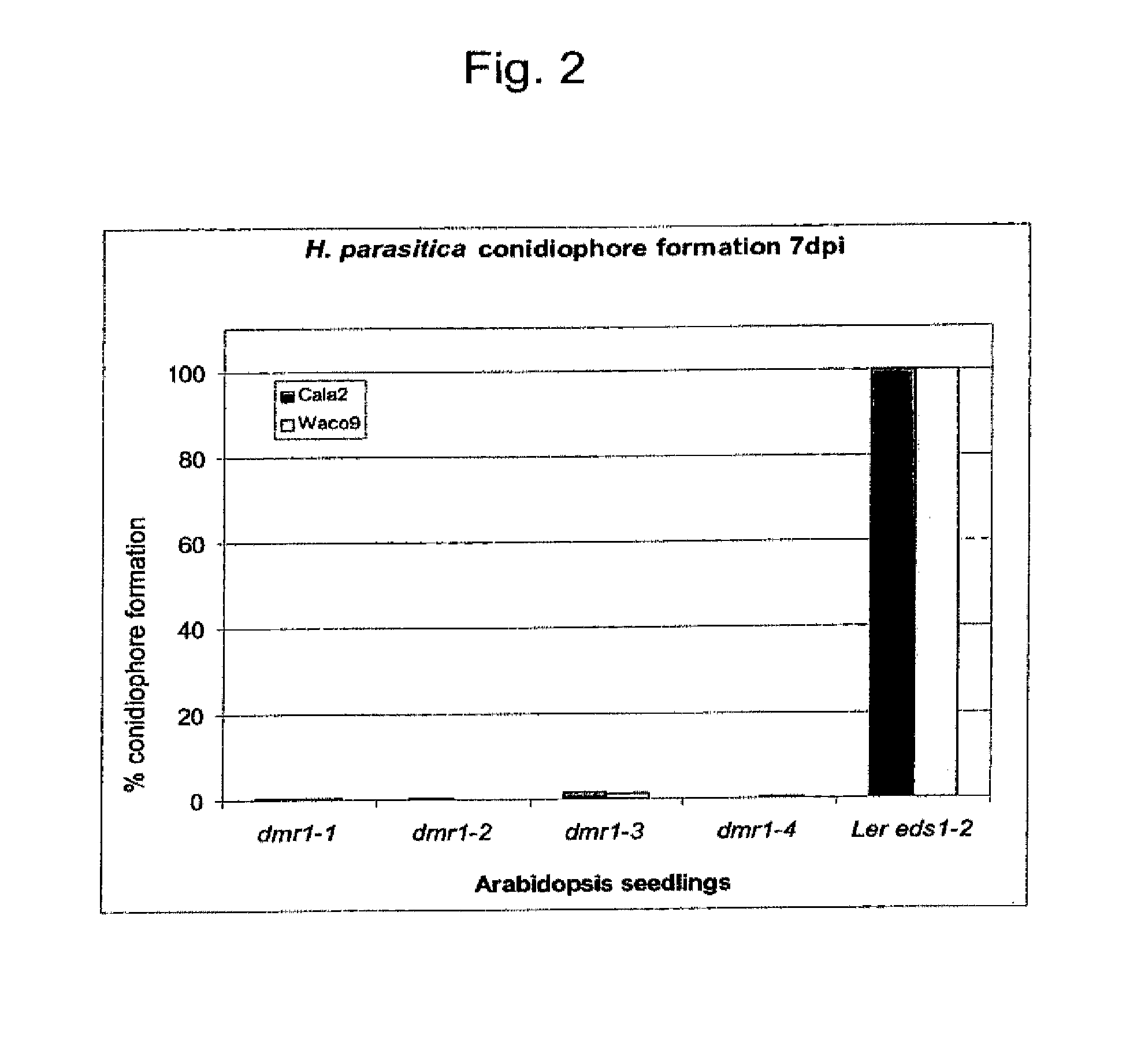 Disease resistant plants