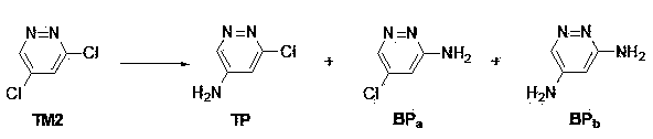 Synthetic method of 3-chlorine-5-aminopyridazines serving as medicine and pesticide intermediates