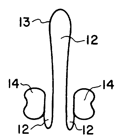 Device and method for simultaneously delivering beneficial agents to both cervical and vaginal lumen sides of a vagina