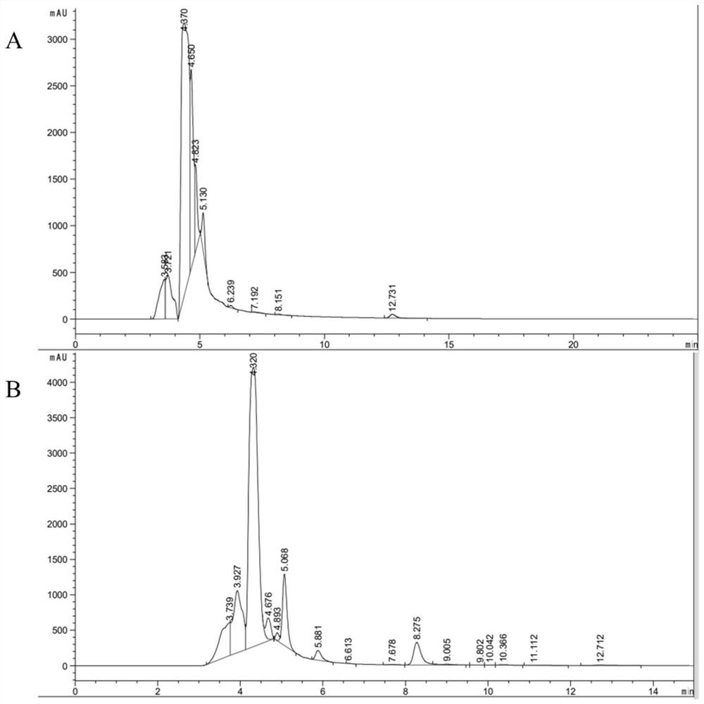 Bacillus velezensis 19573-3 and application thereof