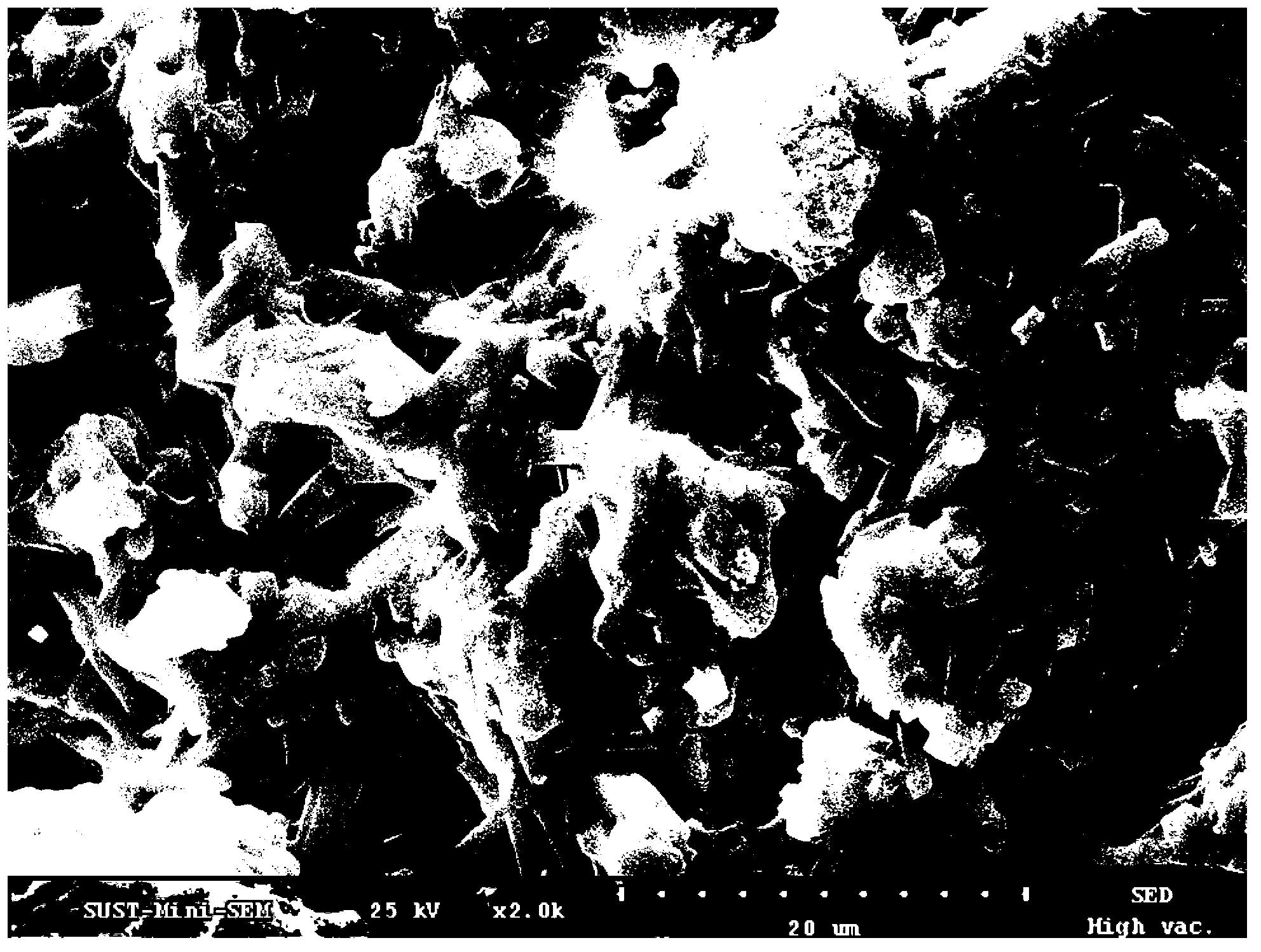 Method for preparing fracturing propping agent special for shale gas from fly ash