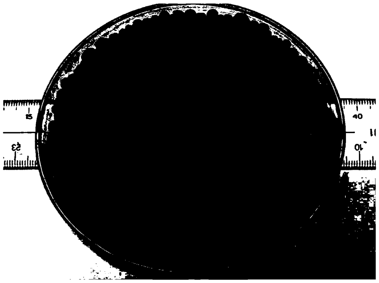 Synergistic calcium superphosphate calcium coated fertilizer and preparation method and application thereof