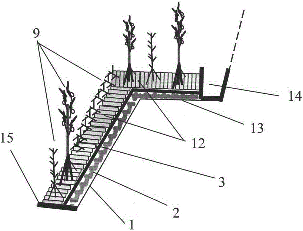 An ecological protection method suitable for phosphogypsum storage yard