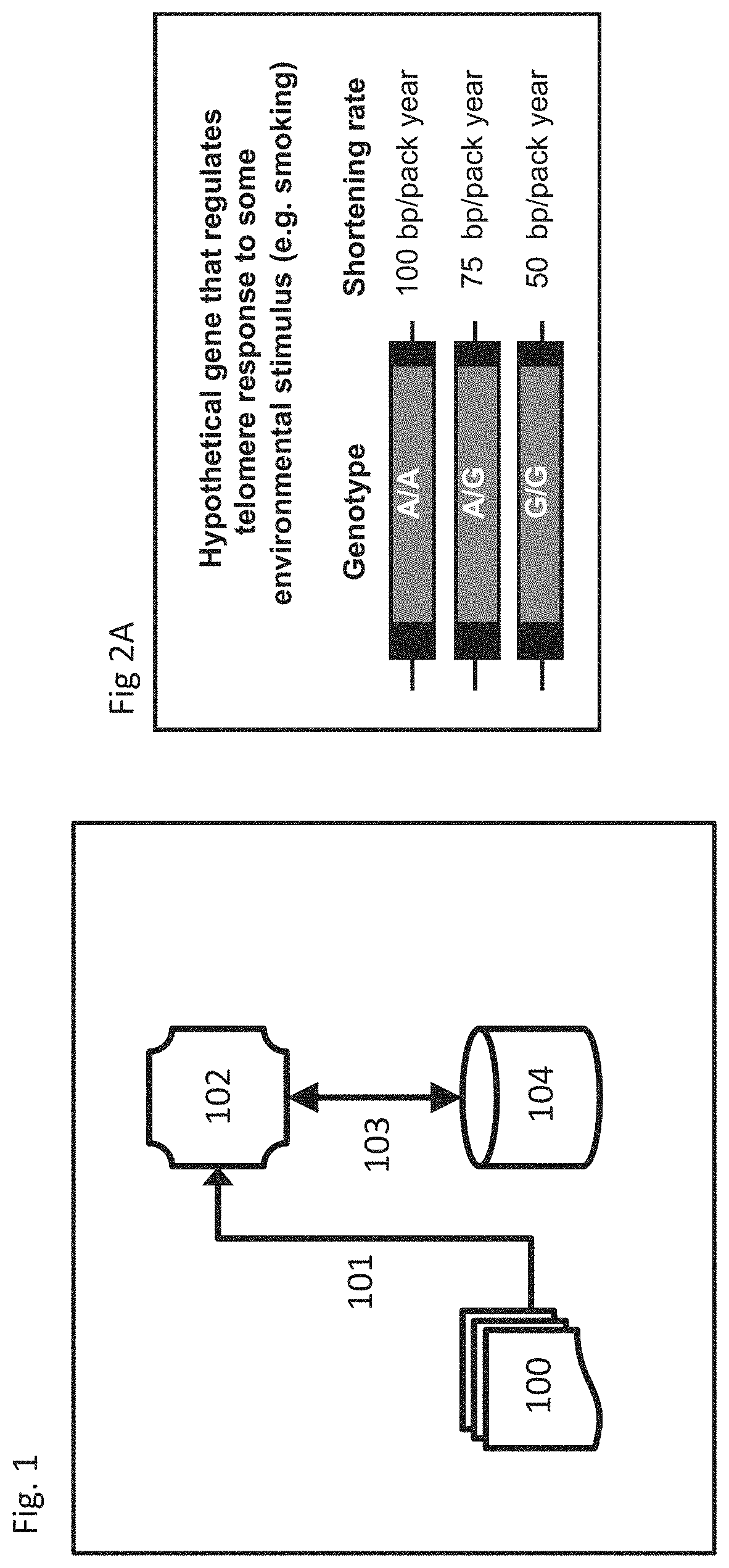 System and method for discovery of gene-environment interactions