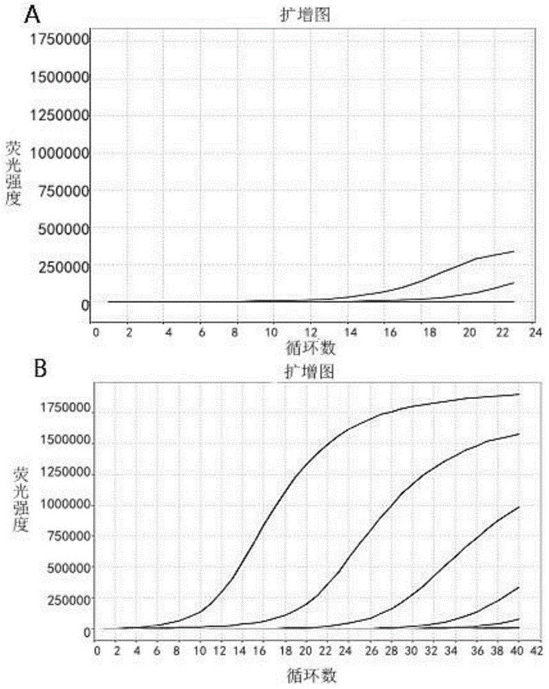 Kit for detecting gene mutation of EGFR and application of kit