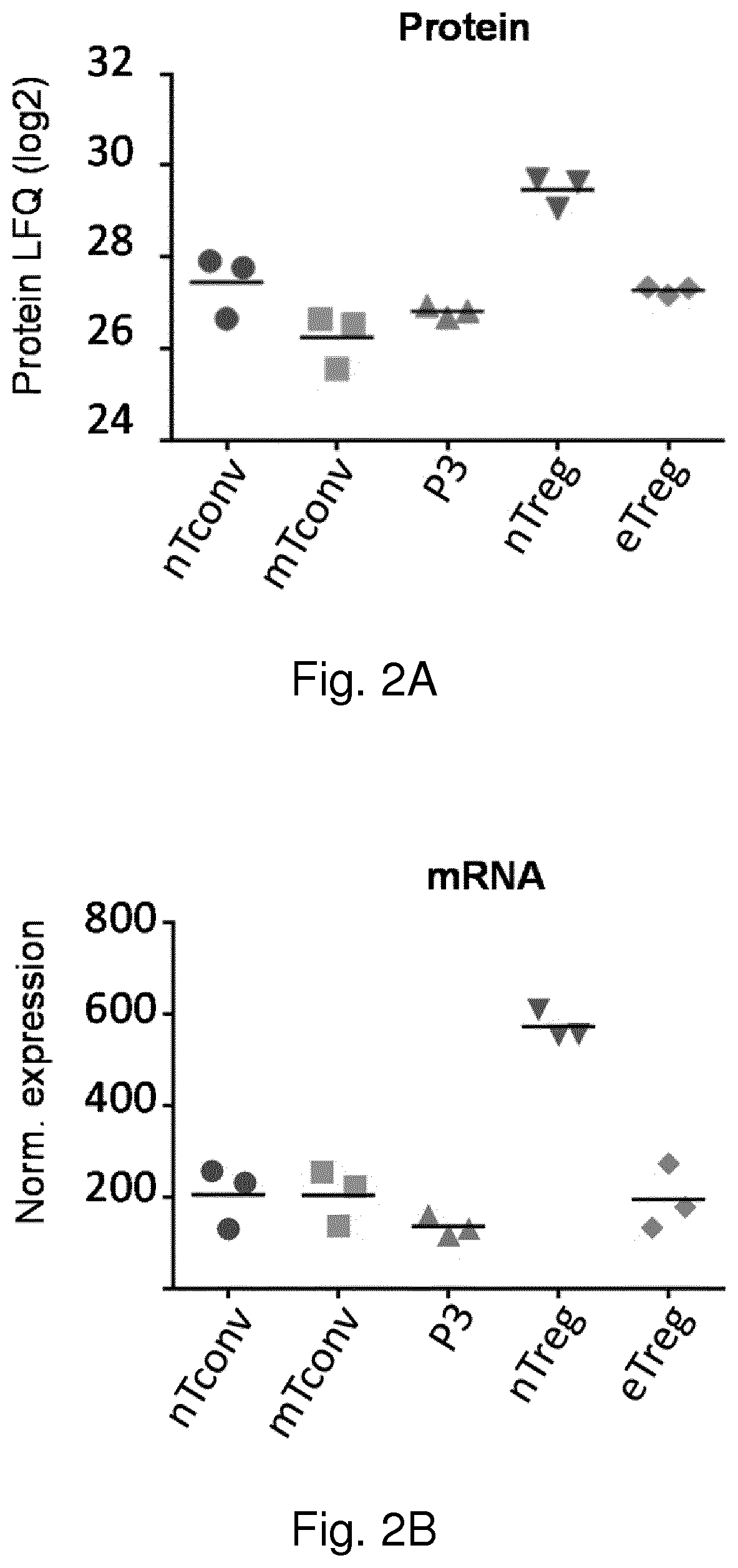 Isolation of stable regulatory t cells and uses thereof