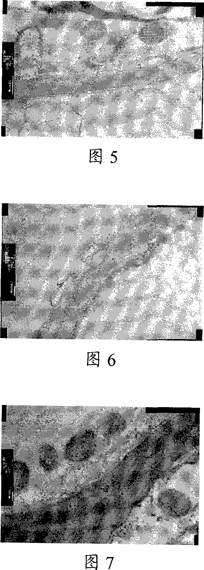 Method for producing quick-frozen vegetable garden pea