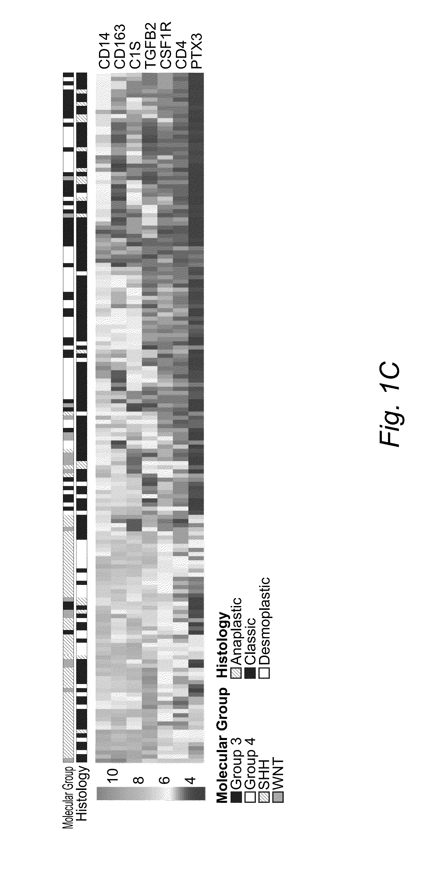 Gene signatures to identify molecular subgroups in medulloblastoma tumors