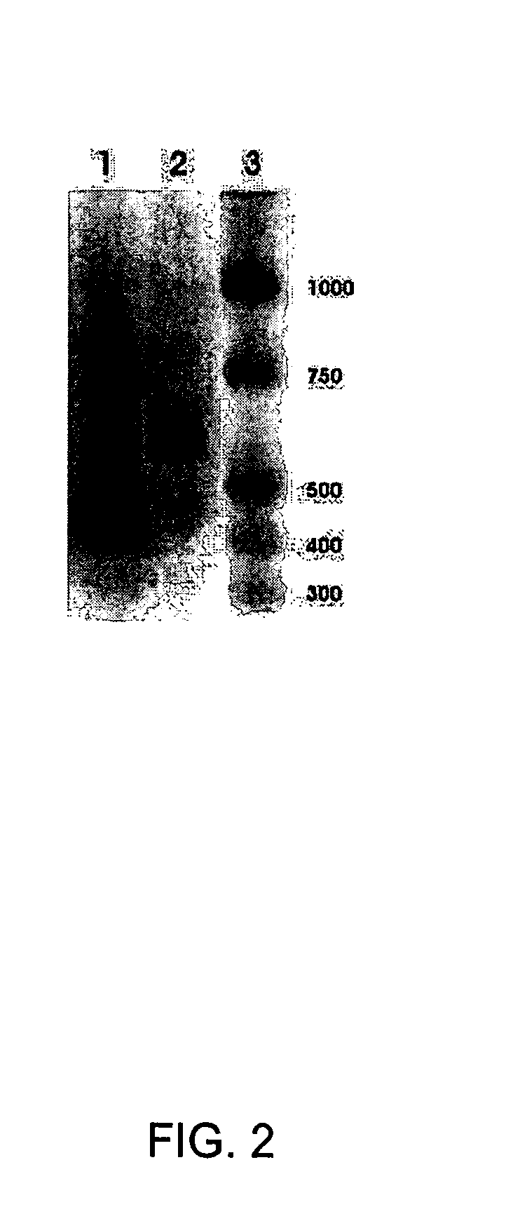 Treatment for dark adaptation