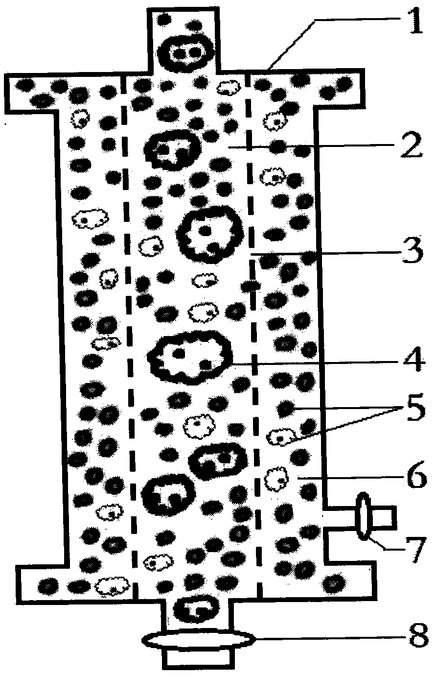 Maternal-fetal blood group incompatibility adsorption therapy device