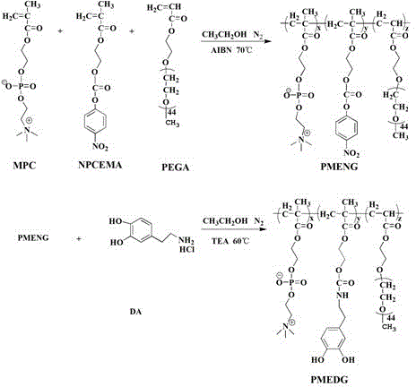 Functional polymer containing phosphorylcholine and PEG and method for forming anti-pollution coating with functional polymer