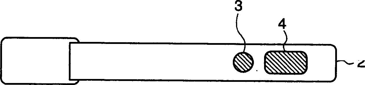 Portable electronic equipment and power supply control method