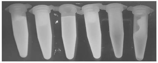 Streptococcus mutans detection method based on quorum sensing system and application of streptococcus mutans detection method