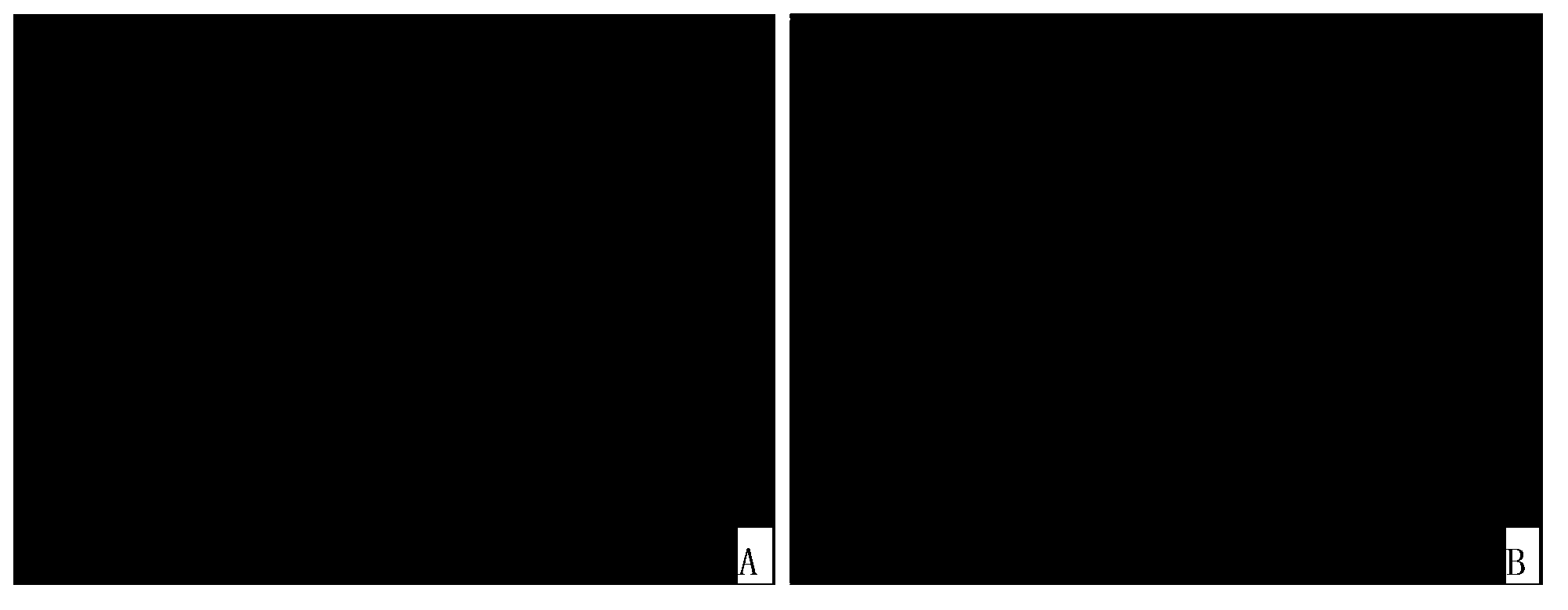 Drug for resisting HIV latency and applications thereof