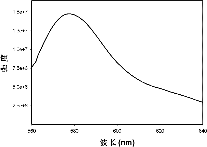 Dual-mode optical imaging probe and preparation method thereof