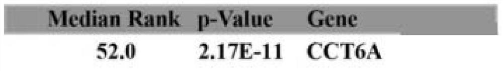 Sorafenib drug-resistant marker and application thereof