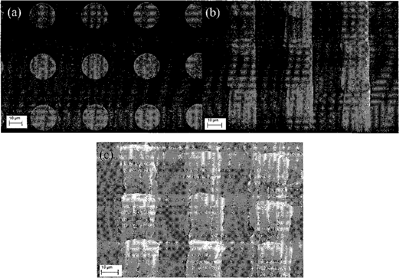 Low-temperature transfer printing method used for microelectronically packaged carbon nanotube bumps