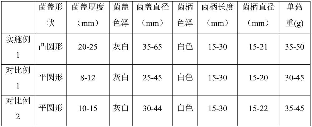 Shiitake mushroom cultivation material and preparation method and application thereof